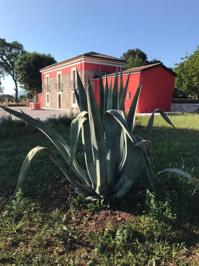 Agriturismo Dipinto Dal Sole Padula Εξωτερικό φωτογραφία